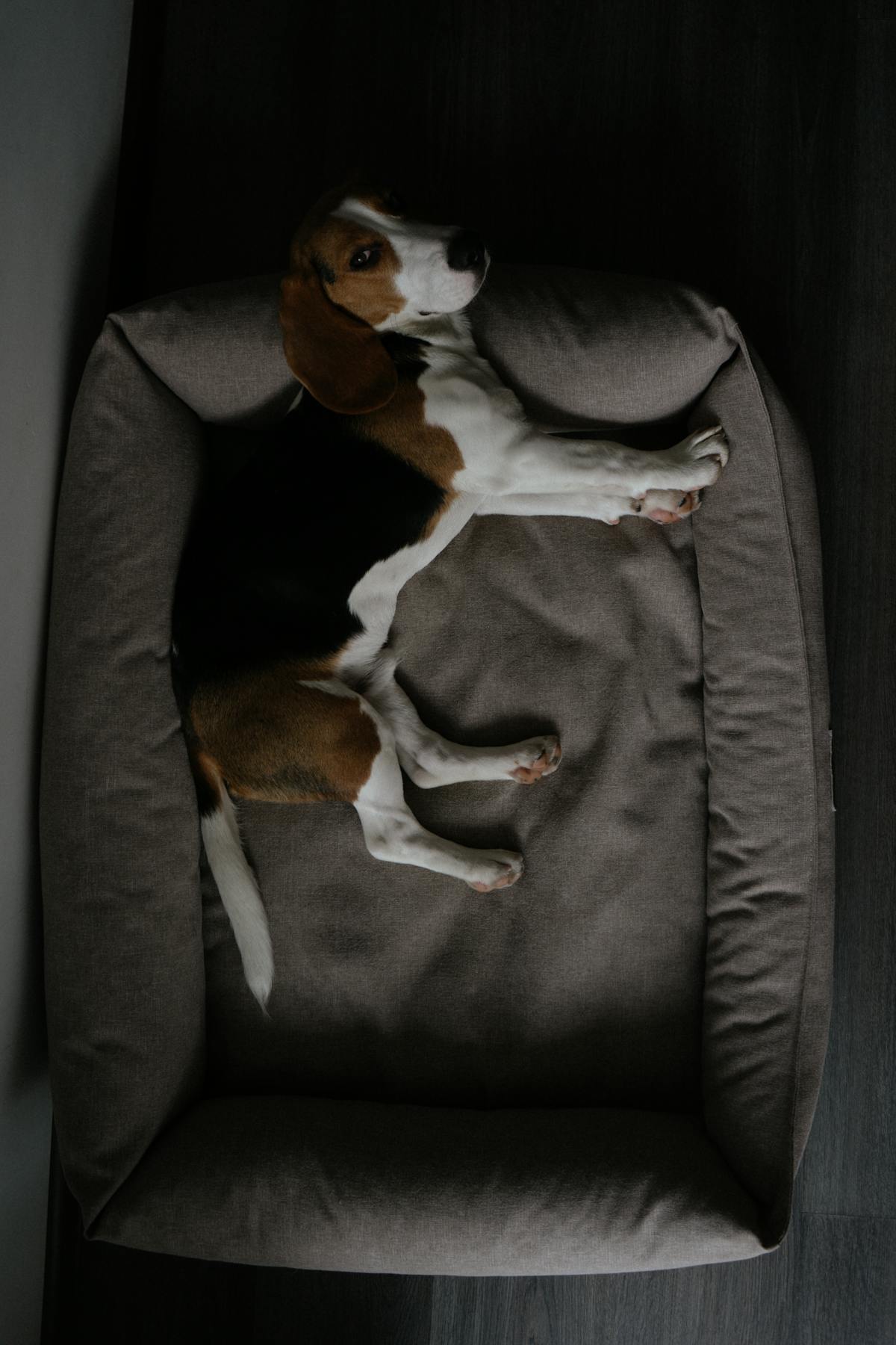 Couchages & Confort — Patmio